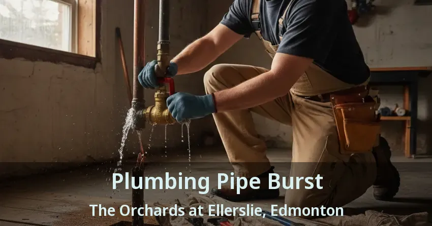 Plumbing Pipe Burst The Orchards at Ellerslie, Edmonton - AB