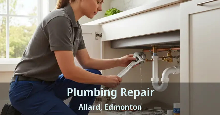 Plumbing Repair Allard, Edmonton - AB