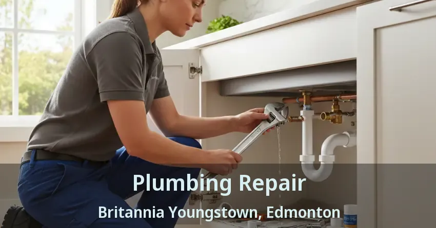 Plumbing Repair Britannia Youngstown, Edmonton - AB