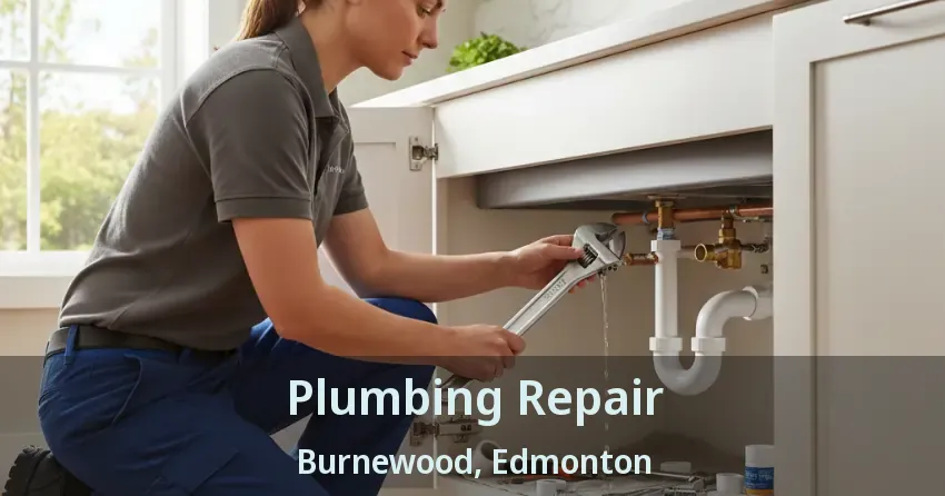 Plumbing Repair Burnewood, Edmonton - AB