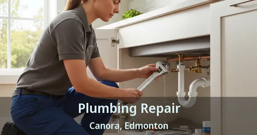 Plumbing Repair Canora, Edmonton - AB