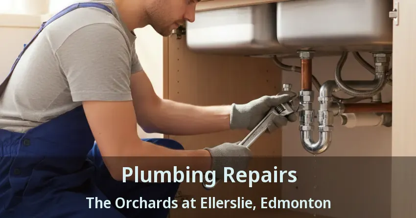 Plumbing Repairs The Orchards at Ellerslie, Edmonton - AB