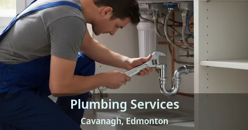 Plumbing Services Cavanagh, Edmonton - AB