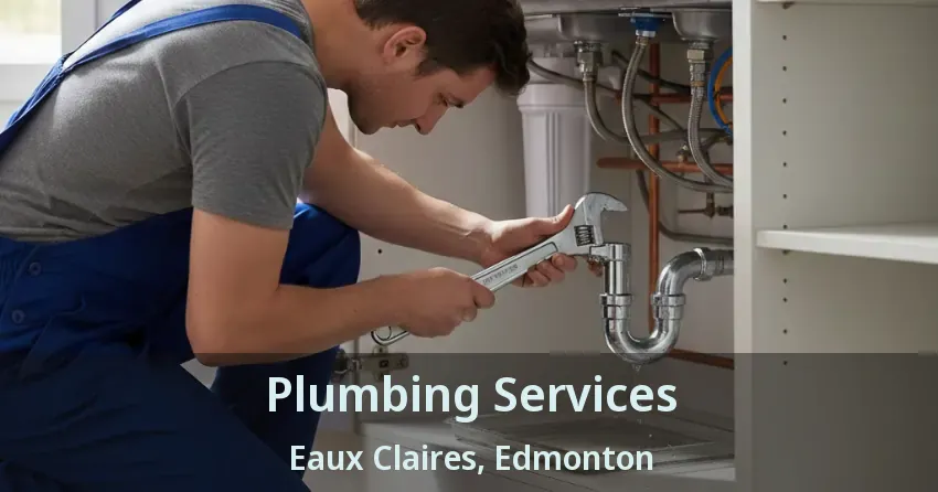 Plumbing Services Eaux Claires, Edmonton - AB
