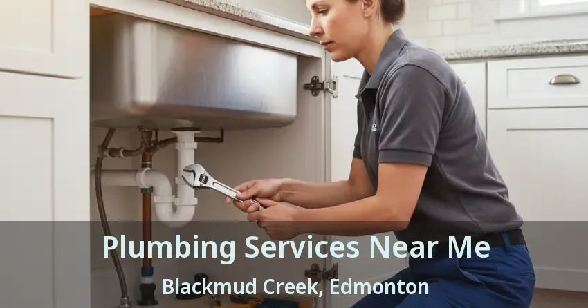 Plumbing Services Near Me Blackmud Creek, Edmonton - AB