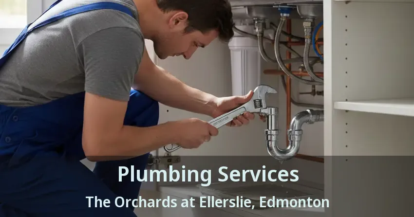 Plumbing Services The Orchards at Ellerslie, Edmonton - AB