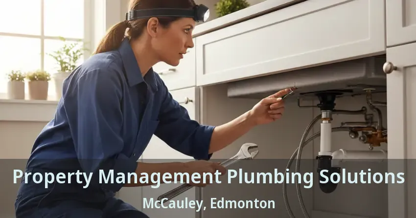 Property Management Plumbing Solutions McCauley, Edmonton - AB