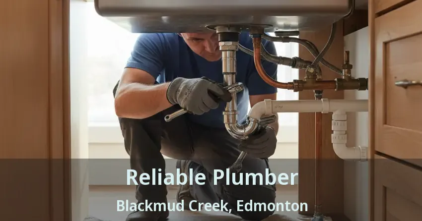 Reliable Plumber Blackmud Creek, Edmonton - AB