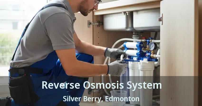 Reverse Osmosis System Silver Berry, Edmonton - AB