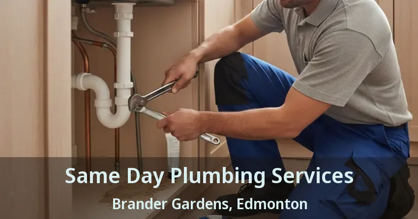 Same Day Plumbing Services Brander Gardens, Edmonton - AB