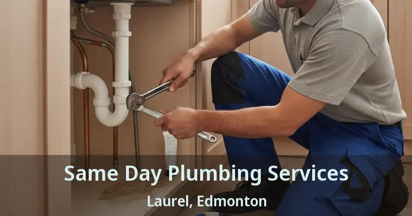 Same Day Plumbing Services Laurel, Edmonton - AB