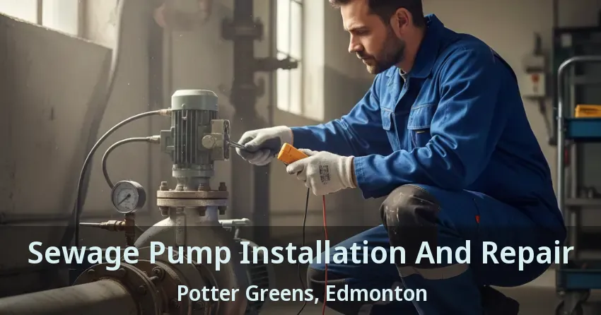 Sewage Pump Installation And Repair Potter Greens, Edmonton - AB