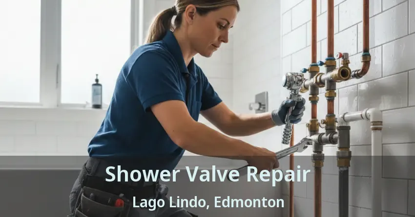 Shower Valve Repair Lago Lindo, Edmonton - AB