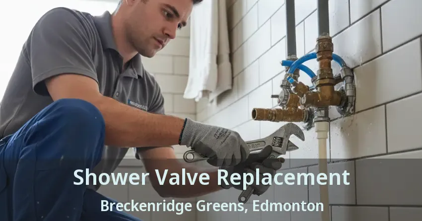 Shower Valve Replacement Breckenridge Greens, Edmonton - AB