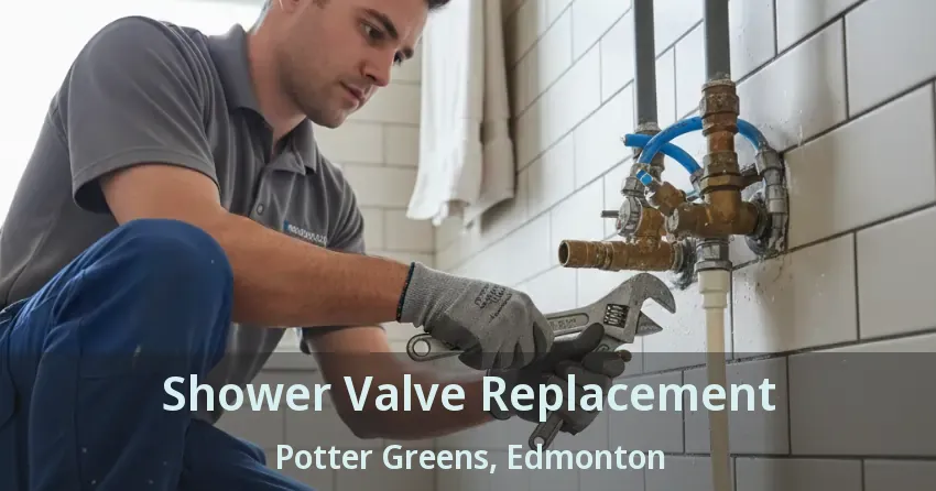 Shower Valve Replacement Potter Greens, Edmonton - AB