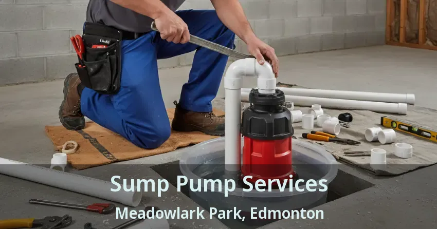 Sump Pump Services Meadowlark Park, Edmonton - AB