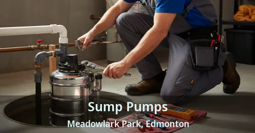 Sump Pumps Meadowlark Park, Edmonton - AB