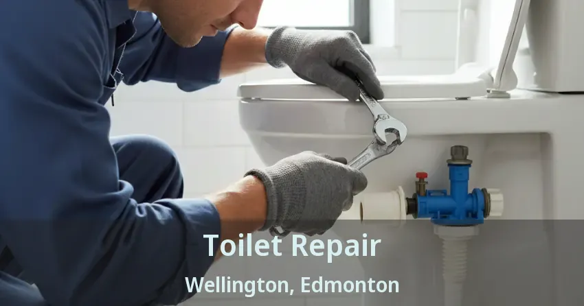Toilet Repair Wellington, Edmonton - AB