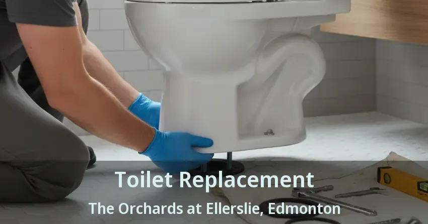 Toilet Replacement The Orchards at Ellerslie, Edmonton - AB