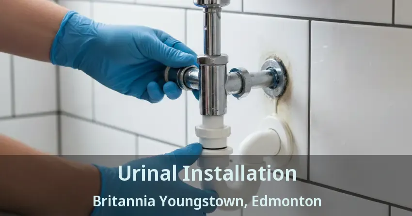 Urinal Installation Britannia Youngstown, Edmonton - AB