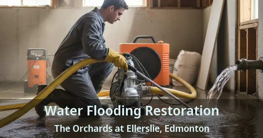Water Flooding Restoration The Orchards at Ellerslie, Edmonton - AB