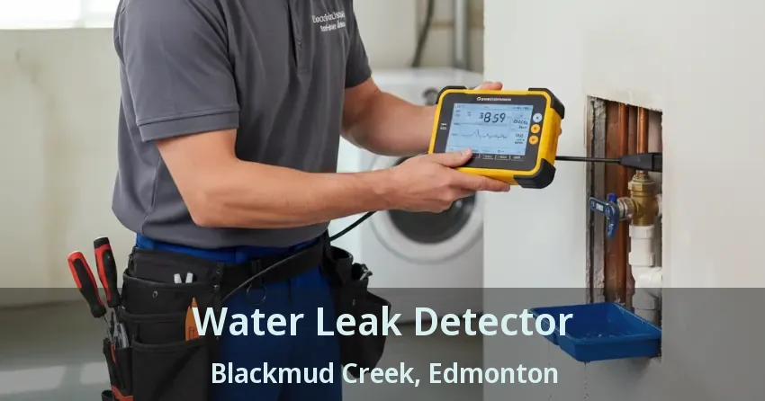 Water Leak Detector Blackmud Creek, Edmonton - AB