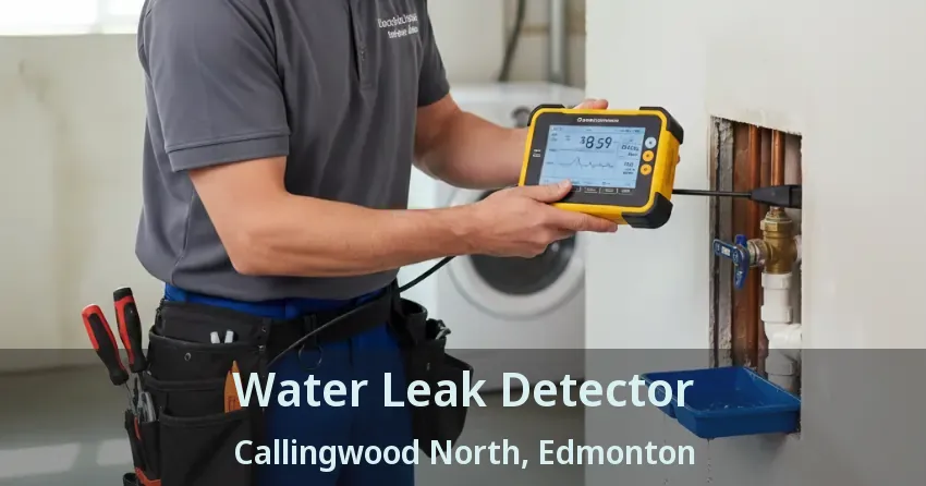 Water Leak Detector Callingwood North, Edmonton - AB