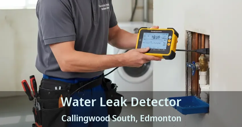 Water Leak Detector Callingwood South, Edmonton - AB