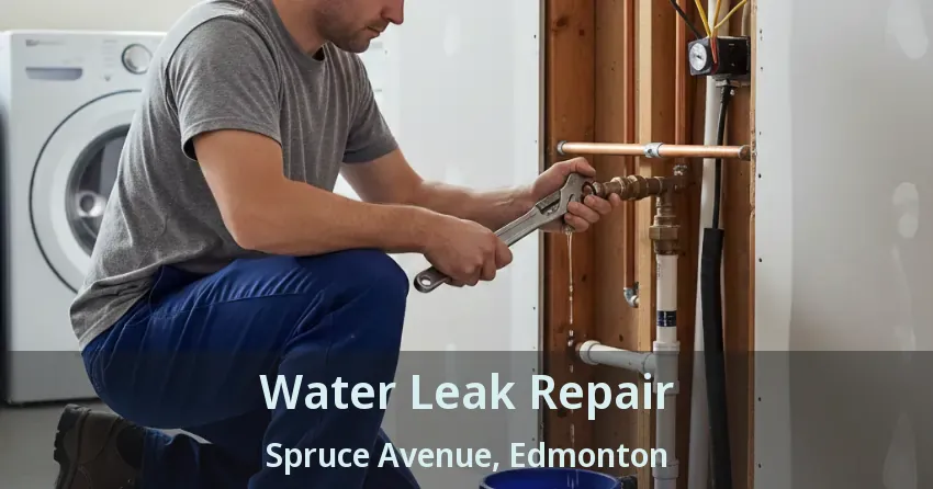Water Leak Repair Spruce Avenue, Edmonton - AB