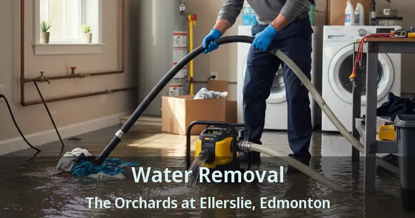 Water Removal The Orchards at Ellerslie, Edmonton - AB