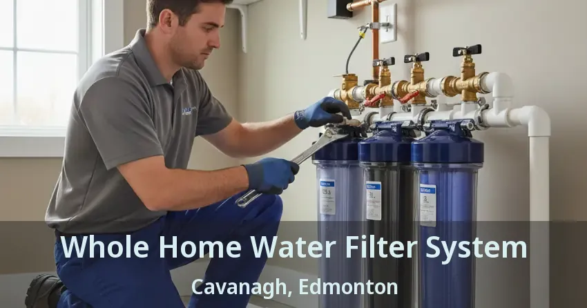 Whole Home Water Filter System Cavanagh, Edmonton - AB