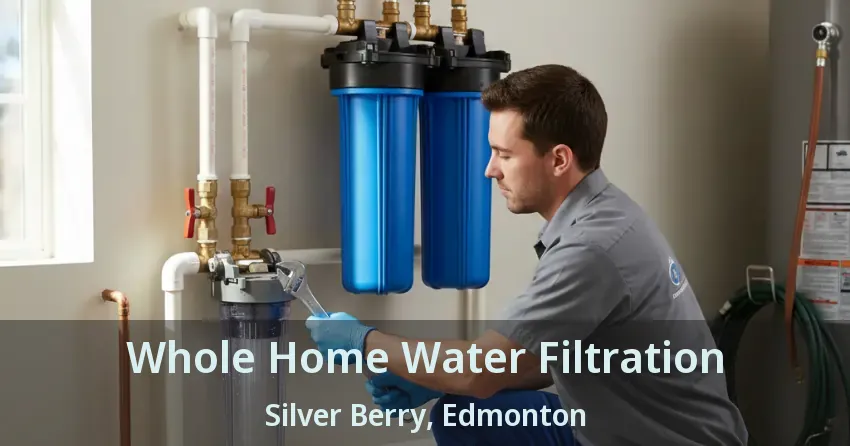 Whole Home Water Filtration Silver Berry, Edmonton - AB