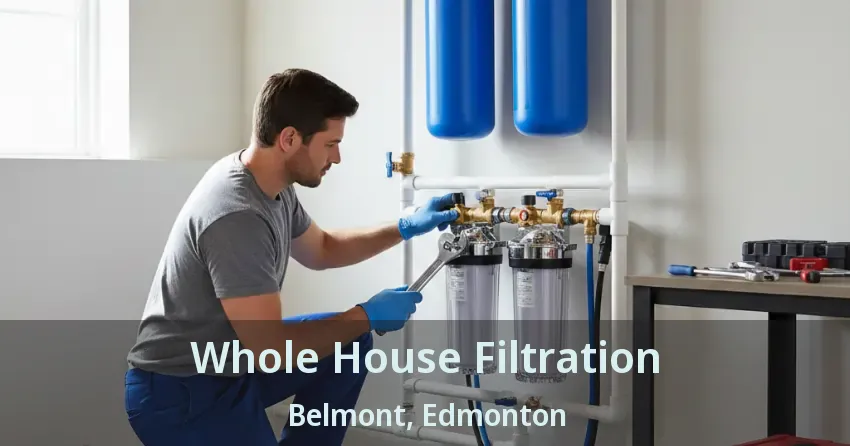 Whole House Filtration Belmont, Edmonton - AB