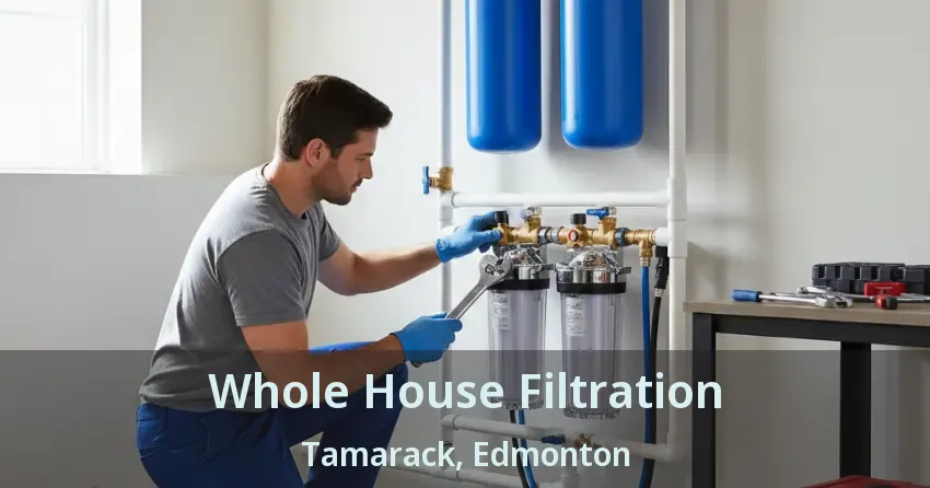 Whole House Filtration Tamarack, Edmonton - AB